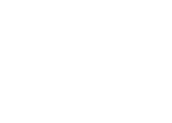 Fun Shoes Logo